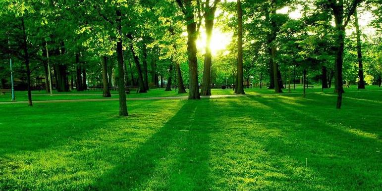 پیام شهردار آبادان به مناسبت روز طبیعت